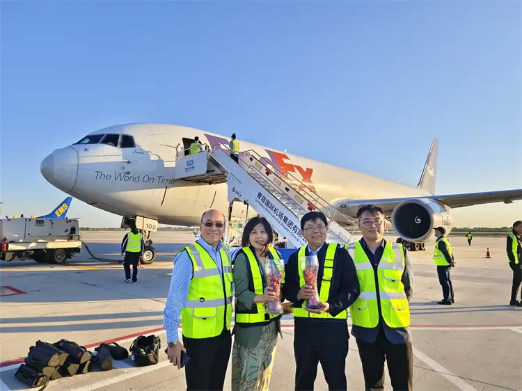 青岛航运_青岛航空物流信息网_青岛航空货运软件