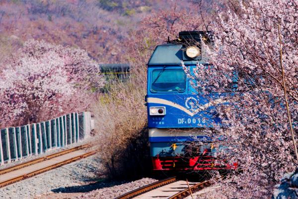 列车站台信息查询_列车站内换乘怎么换_g1017列车经过那些站