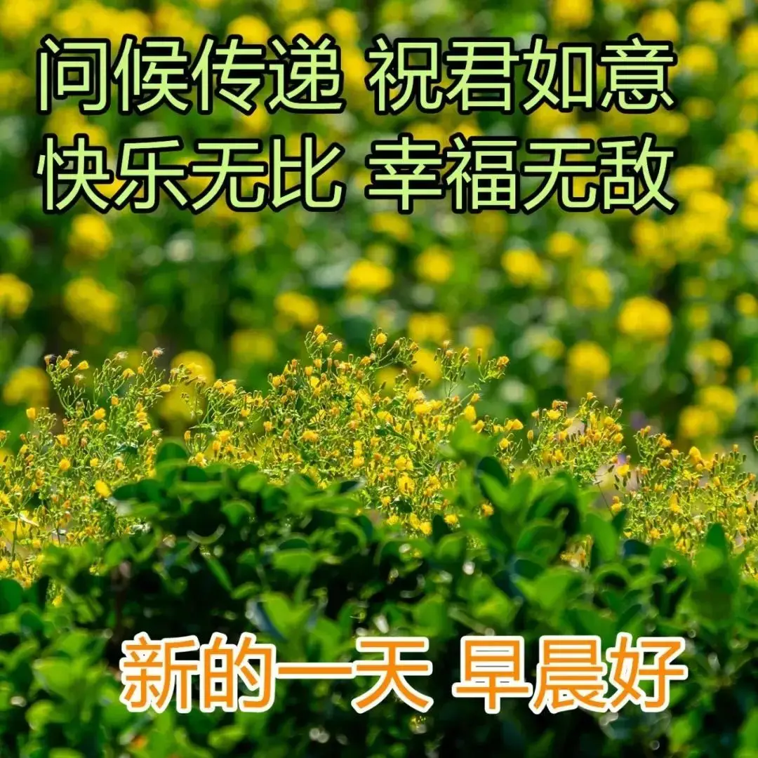 徐生是什么意思_徐生_徐生翁书法