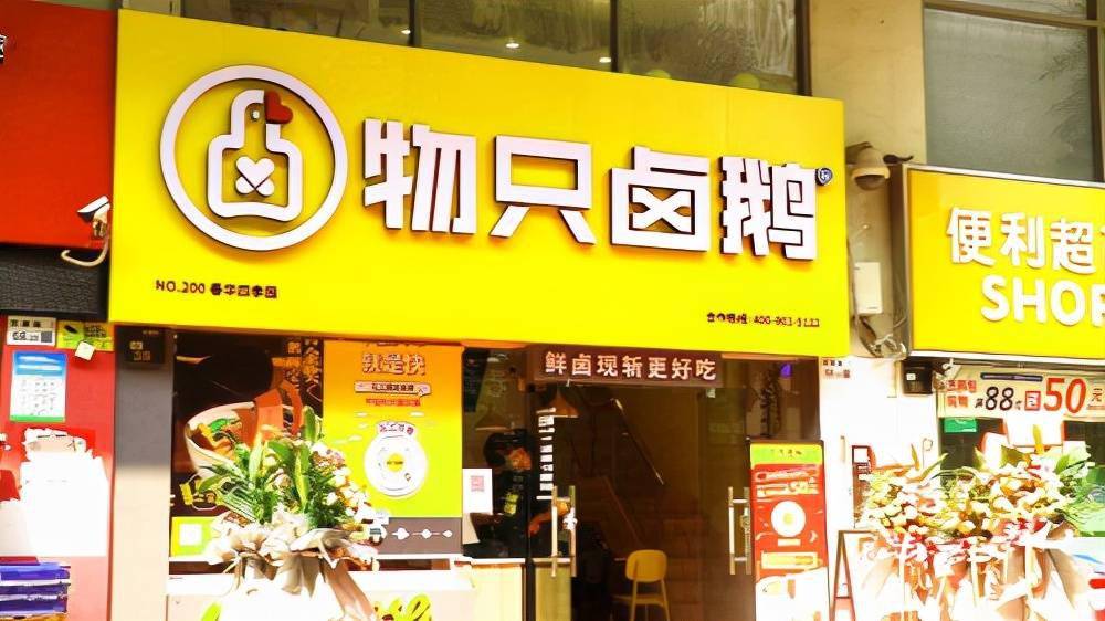 2021年狮头鹅的价格_狮头鹅市场价格_狮头鹅的市场价格