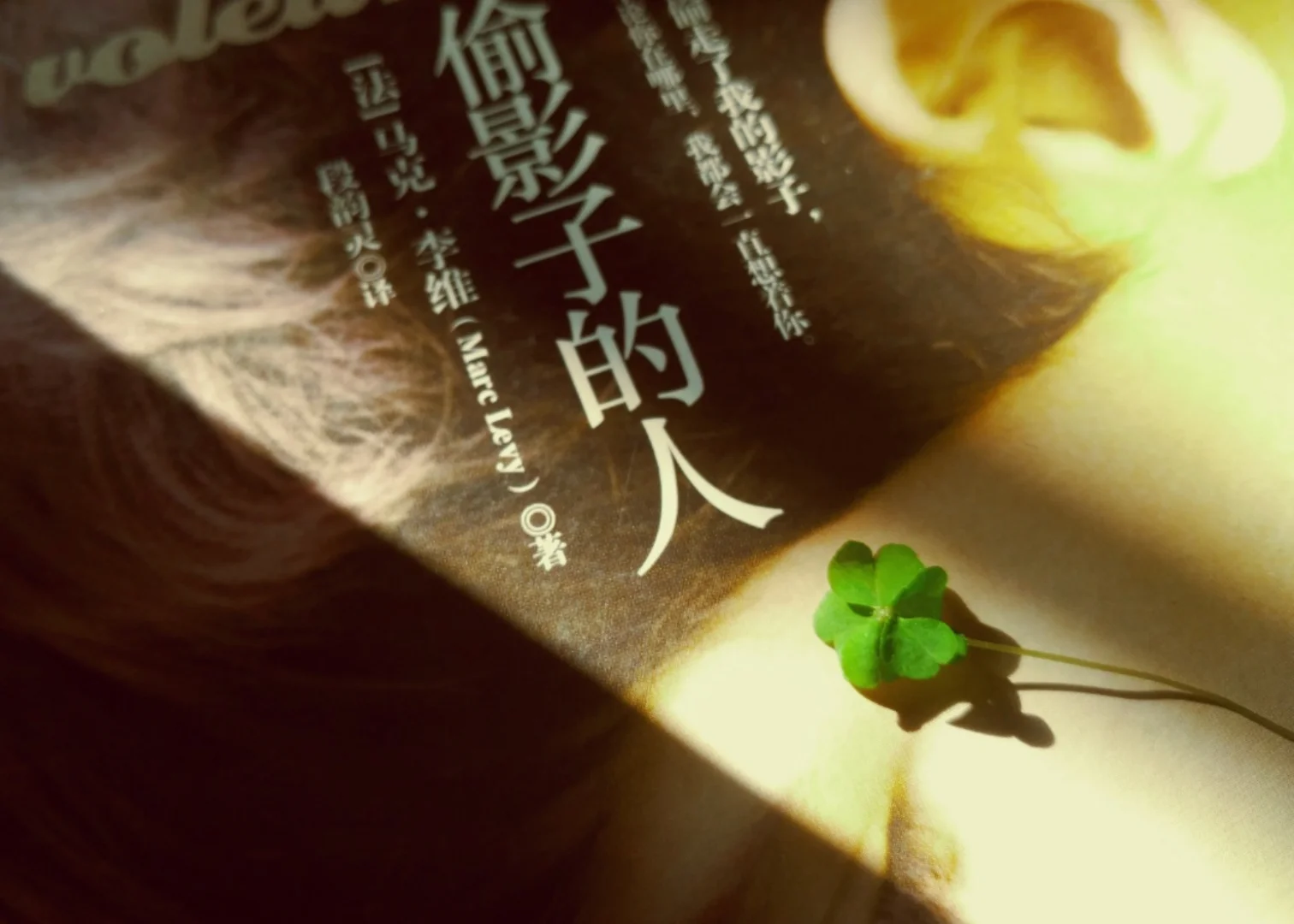 橘子保护肠黏膜吗_橘子保护眼睛吗_保护橘子3