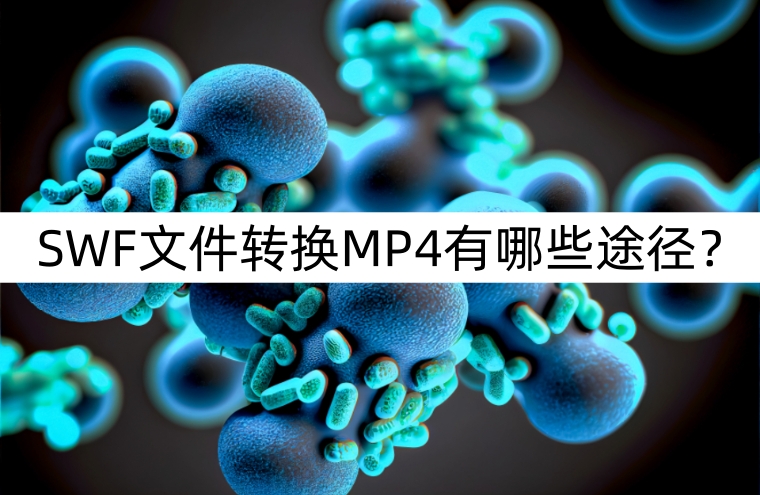 转换软件的功能是_swf转换mp4软件_转换软件哪个好用