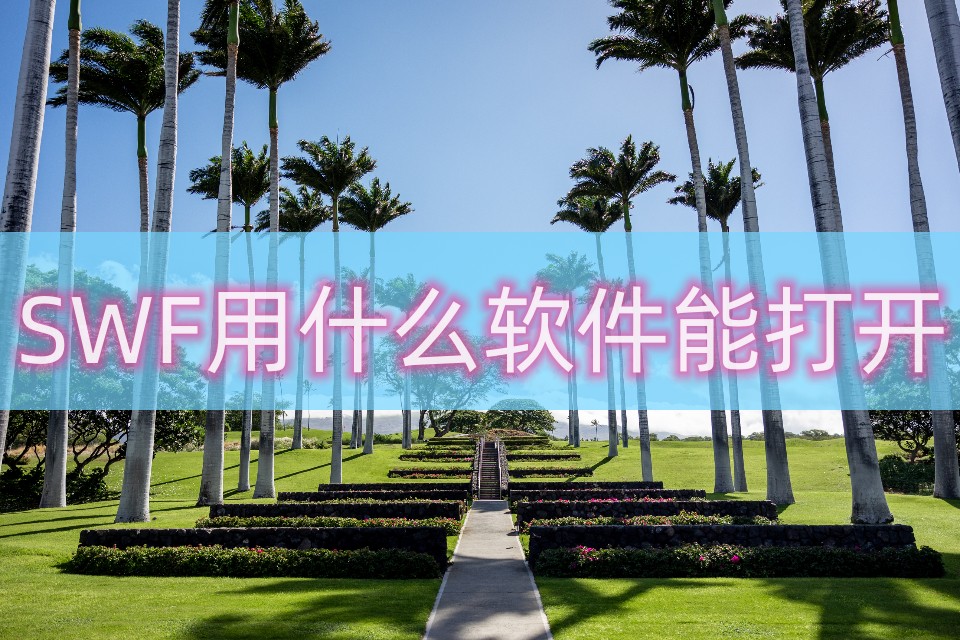 转换软件哪个好用_转换软件的功能是_swf转换mp4软件