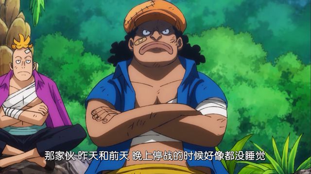 海贼王之恶魔血脉_海贼王恶魔血统_海贼王的血脉
