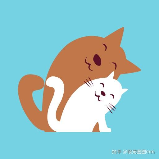 qq音速头像猫_头像猫猫系列_头像猫抖音