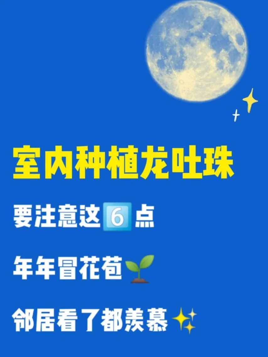 金龙吐珠游戏机说明-金龙吐珠游戏机：游戏界的魔法盒子，带来惊喜刺激体验