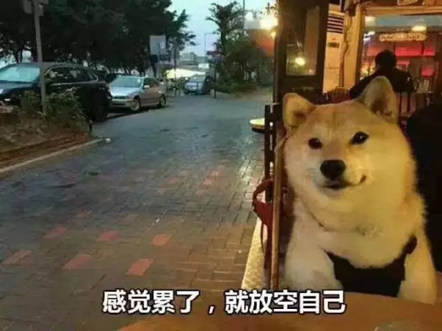 cv组长是什么意思-CV 组长：简历制作中的把关人，助你在职场脱颖而出