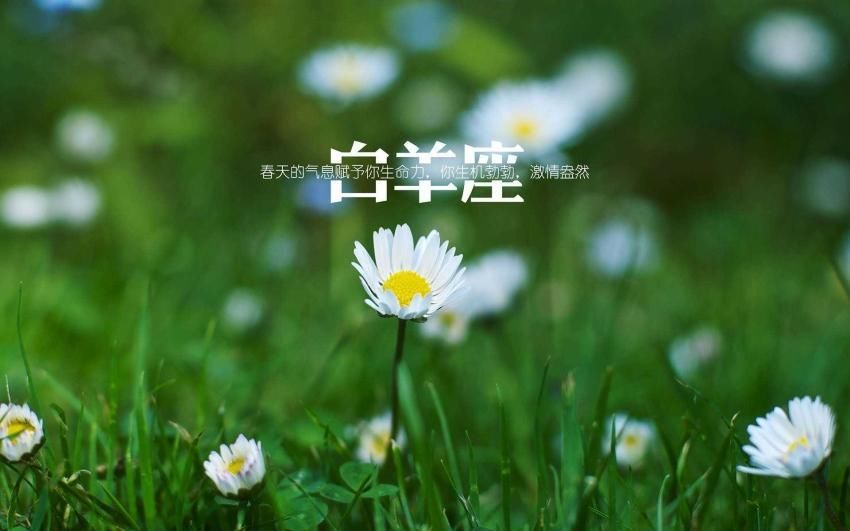 住男朋友新房子里适合吗_和男朋友住一起好不好_住男朋友家好嘛