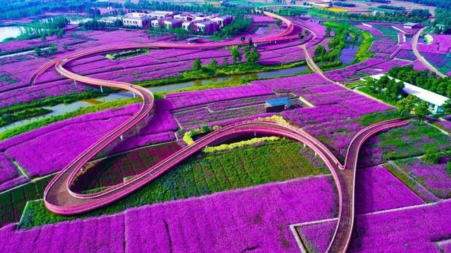 上海北钦州路号1198号_上海市钦州北路_上海钦州北路1198号