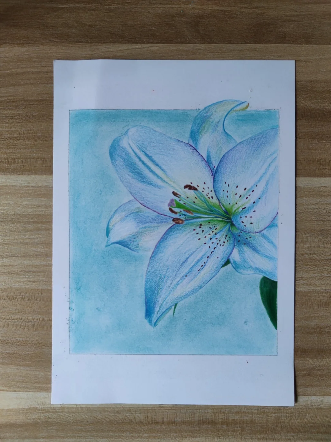 铅笔画花朵图片简单_铅笔花朵画图片简单好看_铅笔花朵画图片简单又好看