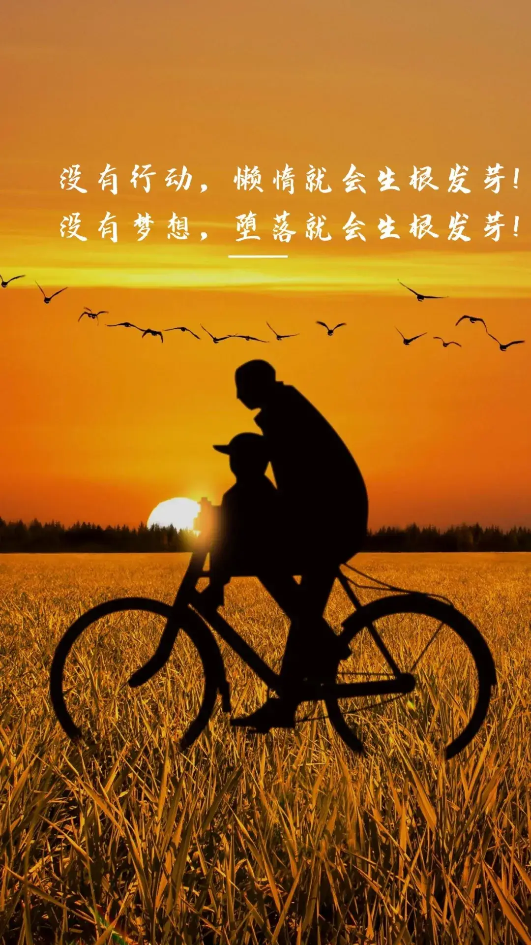 老爹巧克力店：传承手艺，传递情感，治愈心灵的甜蜜梦境