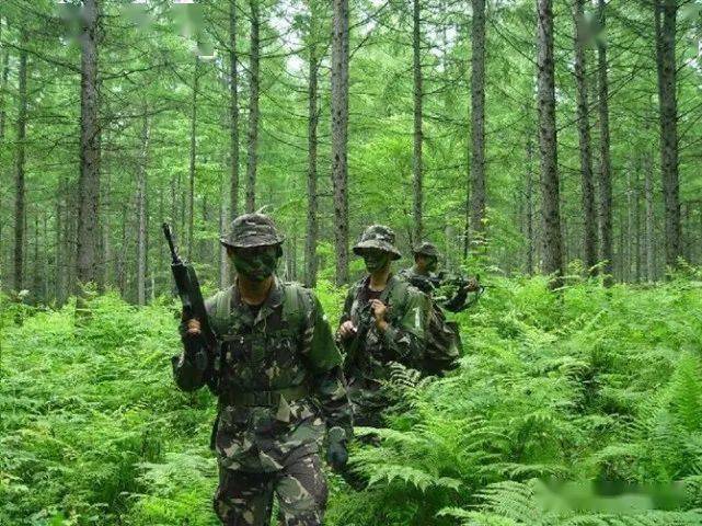各国特种部队名称-特种部队名称背后的故事与传奇，让你心跳加速
