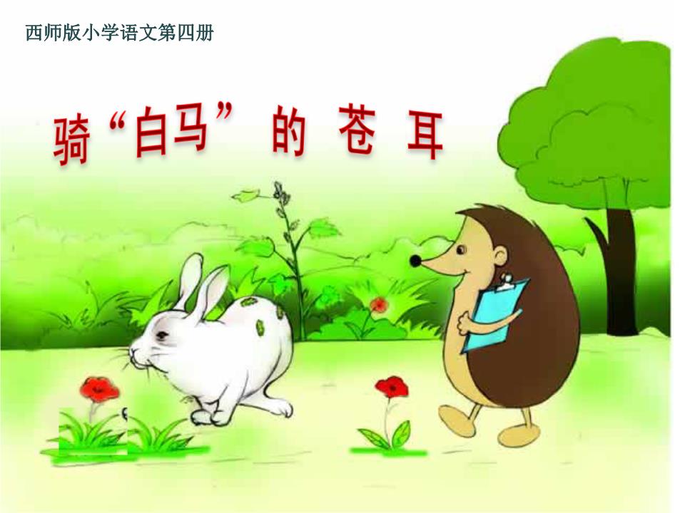 疯狂刺猬动漫：青春狂想曲，勇敢追梦的刺猬