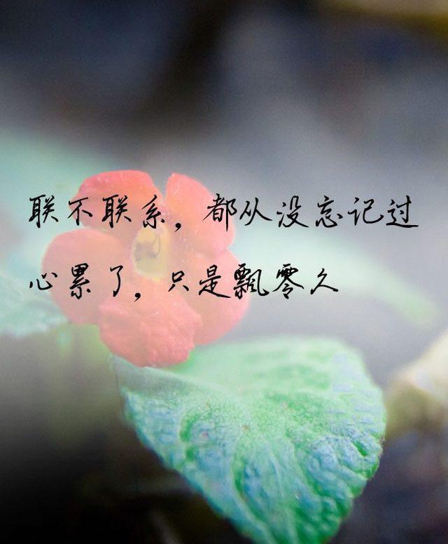 秋之回忆百度网盘_百度网盘回忆故事_秋之回忆8op无损百度云