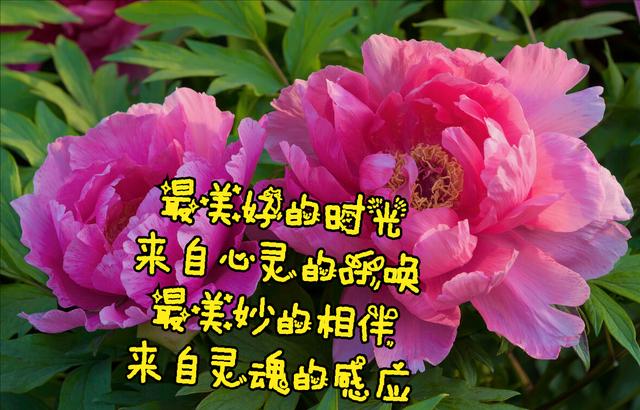 秋之回忆8op无损百度云_百度网盘回忆故事_秋之回忆百度网盘