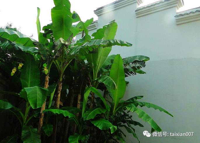 手机强制qq群聊天软件_qq强制群聊天软件安卓_qq强制聊天工具安卓版