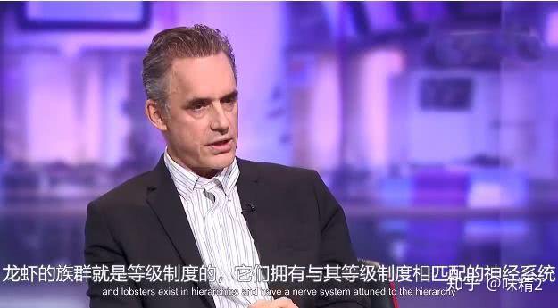 羟色胺什么意思_五羟色胺综合征_羟色胺综合征综合症
