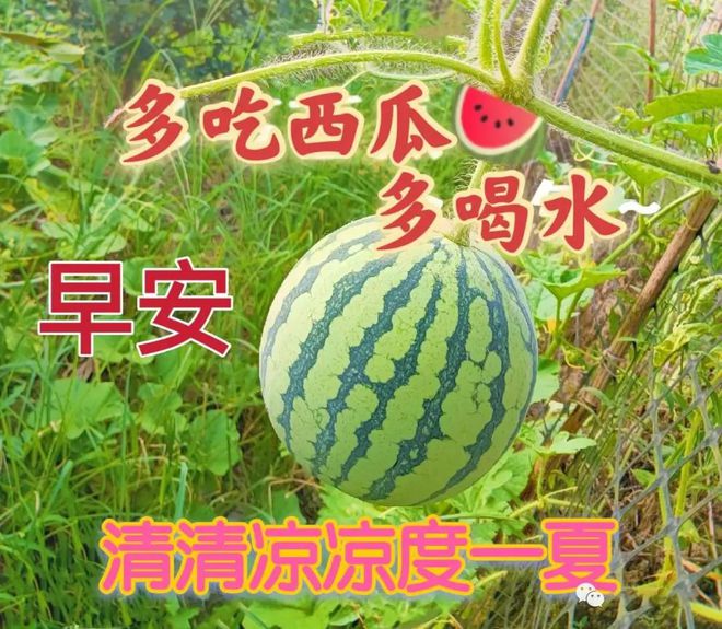 背靠上仙好乘凉男主-传说中背靠上仙好乘凉的男主，运气好到让人羡慕嫉妒恨