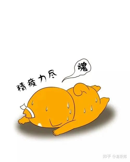拇指熊康吉动漫-拇指熊康吉：一个让人忍不住笑出声的动漫角色