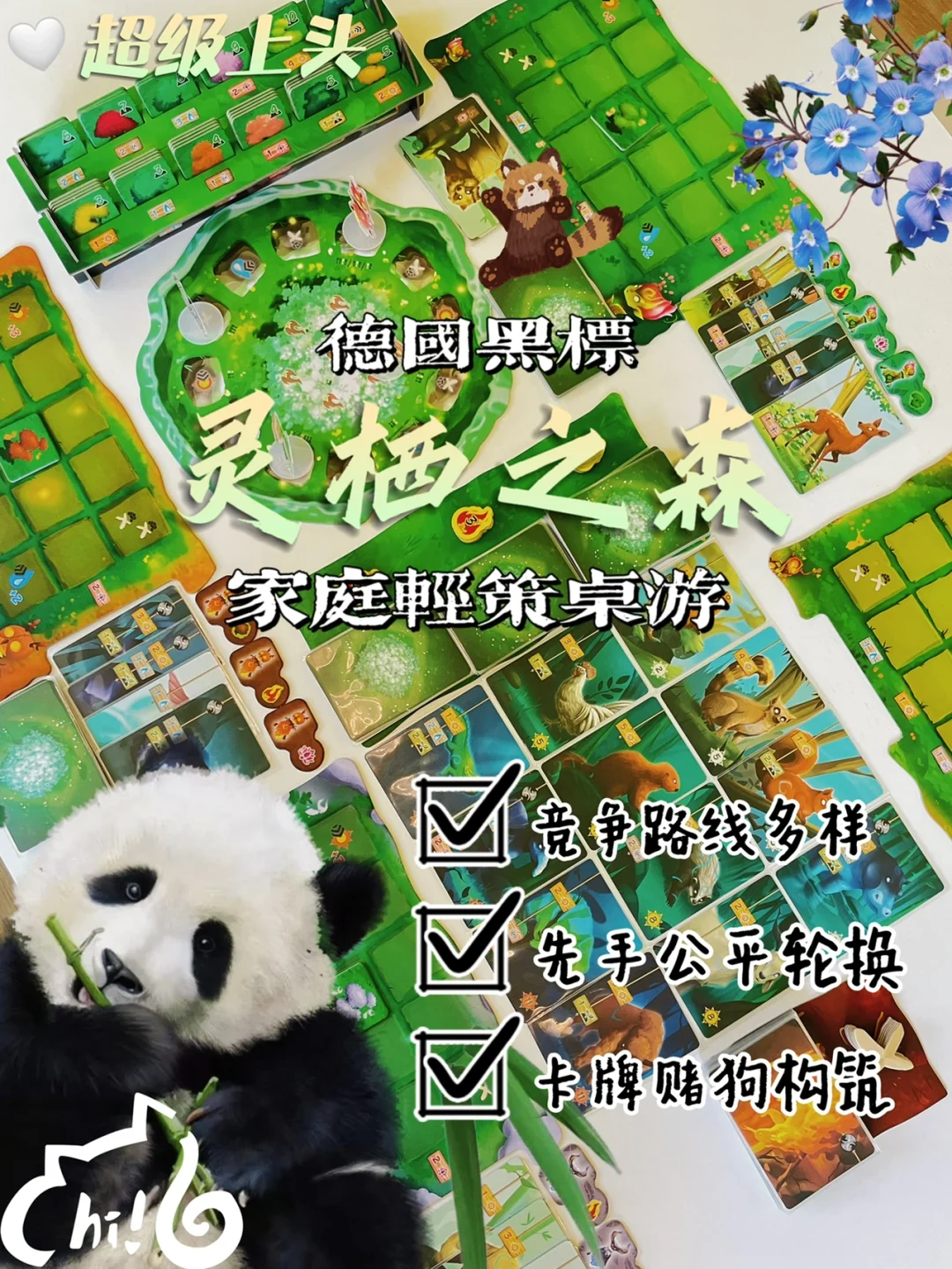 宿命桌游爆发-宿命桌游：一场情感狂欢与心灵交流的奇幻之旅