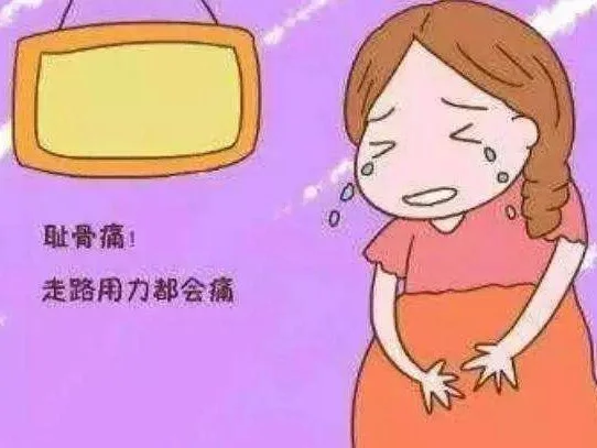 鸭子走路词语_鸭子走路打一成语_鸭子走路成语打三个数字