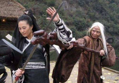 真倚天屠龙记武功
