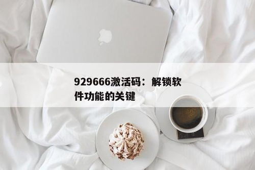 929666激活码,轻松获取各类软件、游戏激活码的便捷平台