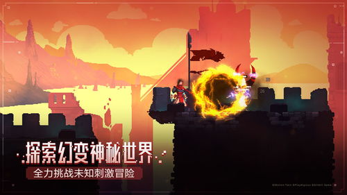 重生细胞动态,揭秘细胞生命周期的奥秘