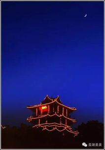 鹤泪云紫