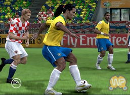 fifa世界杯