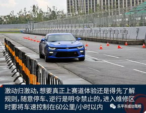 在赛道上进行高速驾驶,感受到极致的速度与激情,玩家可以根据自己的喜好选择不同的,赛道狂飙，速度与激情的体验