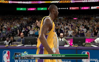nba2k10中文版游戏下载,nba2k10中文版下载免费完整版