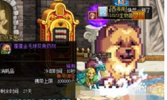 dnf金毛球,刷图利器，属性解析及搭配指南