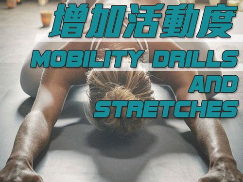 肢体动作和动态的区别,肢体动作与动态的区别解析