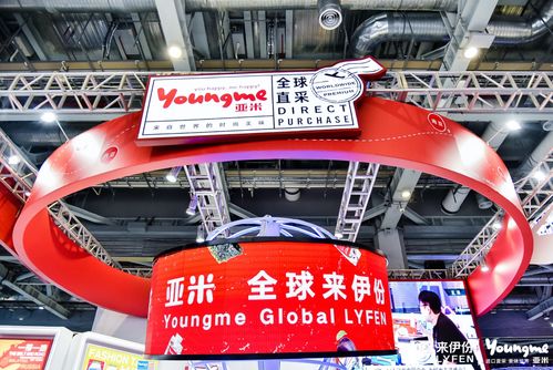 亚米多,中国民族网络游戏新势力崛起