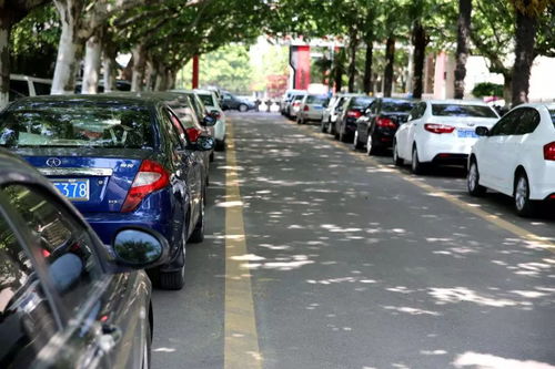 在停靠车辆的时候,如果没有正确的道路,玩家只需要去画出一条线,就可以快速的停好