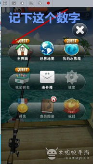 钓鱼发烧友修改,解锁游戏新境界