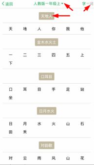 中文中app的正确使用方法,中文APP的正确使用方法指南