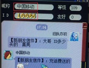 最贵游戏账号,虚拟世界中的财富传奇