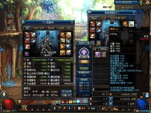 dnf有没有私服,揭秘地下城与勇士的私服世界