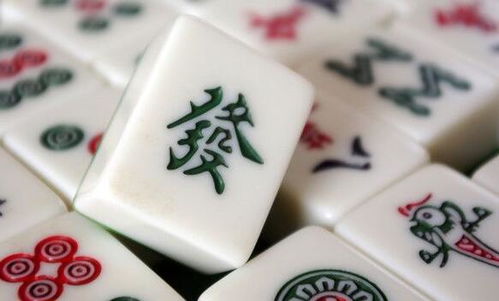 麻将技巧,从新手到高手的进阶之路
