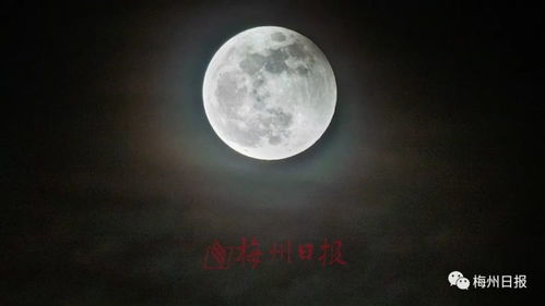 赏月红月,赏月红月，中秋佳节的传统与天文奇观