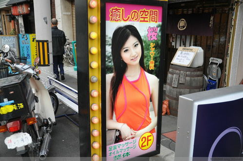 日本色情游戏,文化现象与争议并存