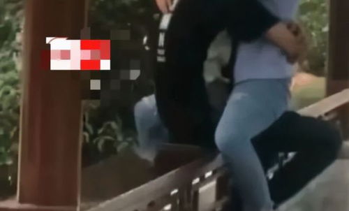 公园情侣不雅视频,隐私泄露与职业操守的反思