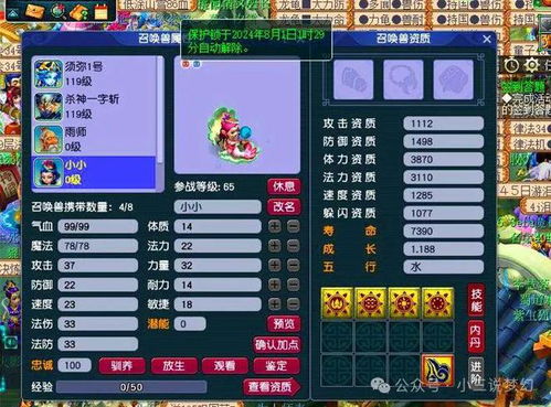 梦幻西游公开号,揭秘梦幻西游中的神秘账号