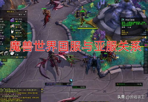 加姆雷区