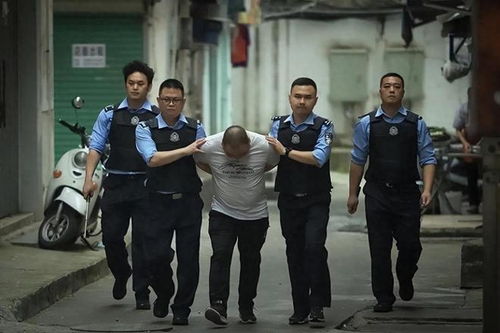 这就是警察2审讯,揭秘审讯技巧与策略