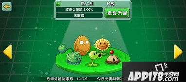 植物大战僵尸2选择玩家有什么用,选择玩家角色的实用指南