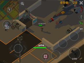 求生之王游戏,游戏简介