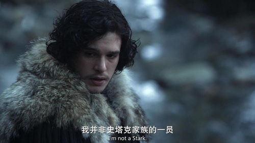 权力的游戏琼恩雪诺身世,琼恩·雪诺的身世之谜